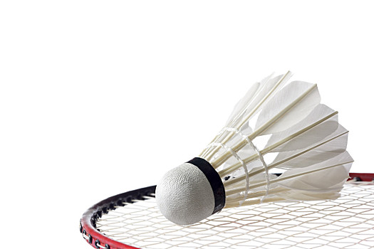 自身人员结 自身人员结